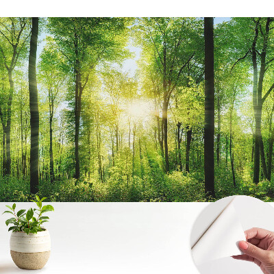 Tapet vinil Echilibrul naturii pădurii