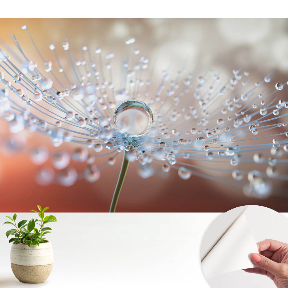 Fototapet autocolant Microcosmos într-o picătură de apă