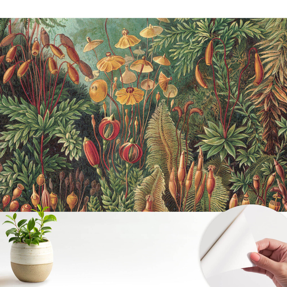 Tapet vinil Plante exotice în grădină