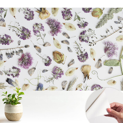 Fototapet autoadeziv pentru camera copiilor Flori uscate pe alb
