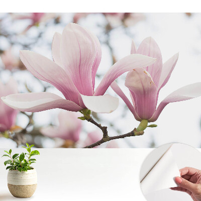 Tapet autocolant perete Farmecul romantic al magnoliilor roz