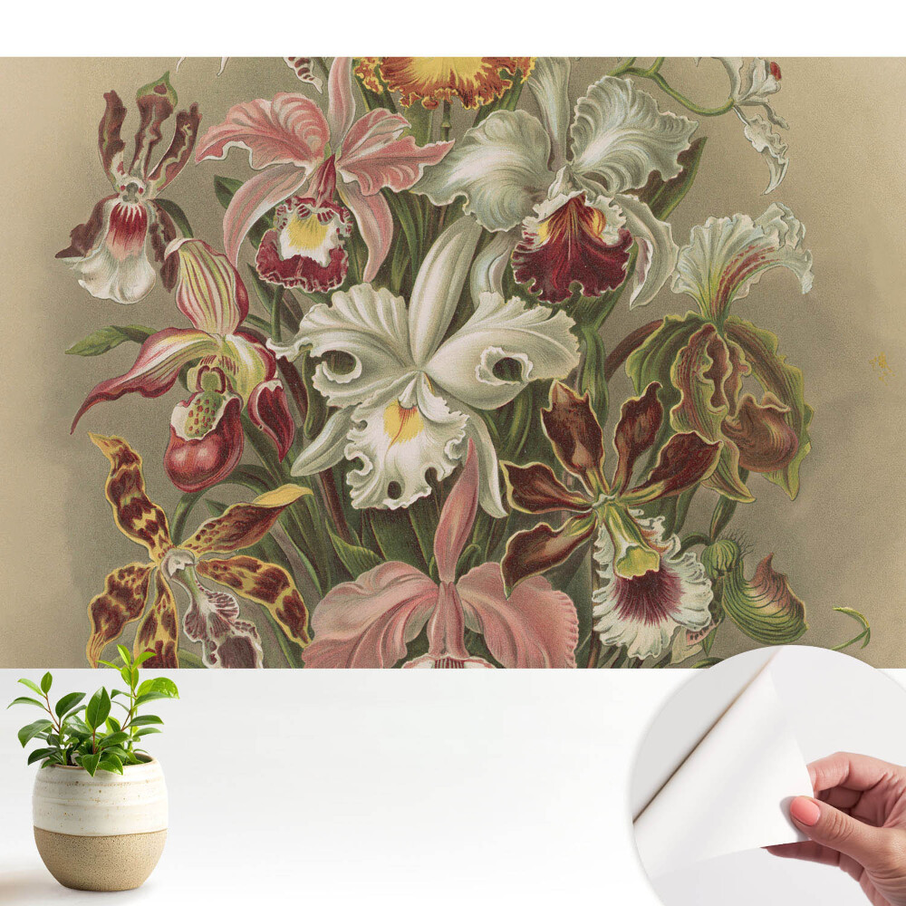 Tapet autoadeziv Aranjament floral exotic