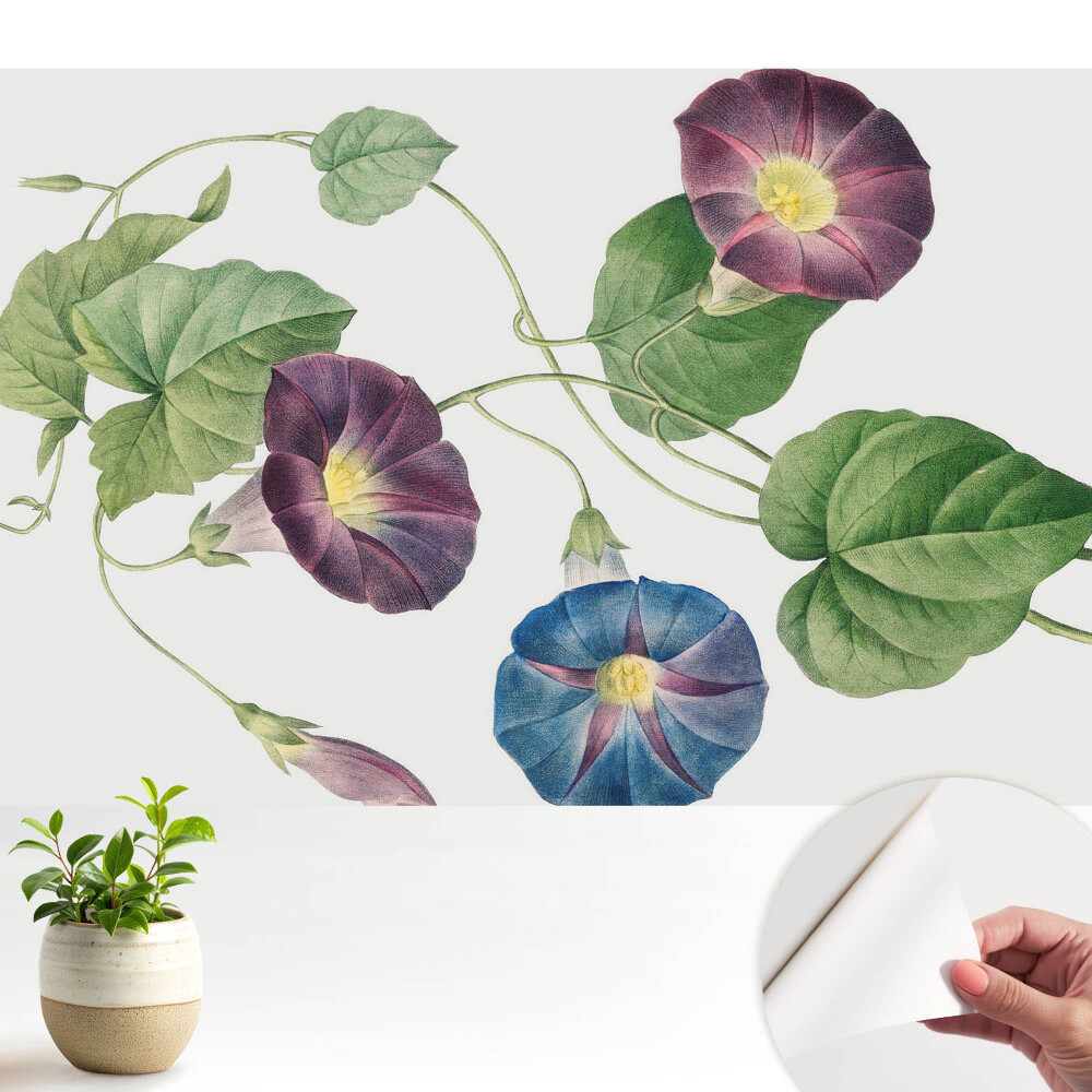 Tapet autocolant perete Muguri de plante