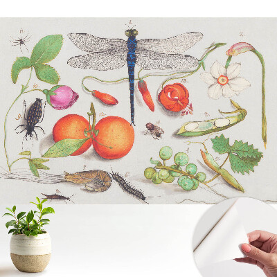 Fototapet autoadeziv pentru camera copiilor Compoziție botanică cu insecte