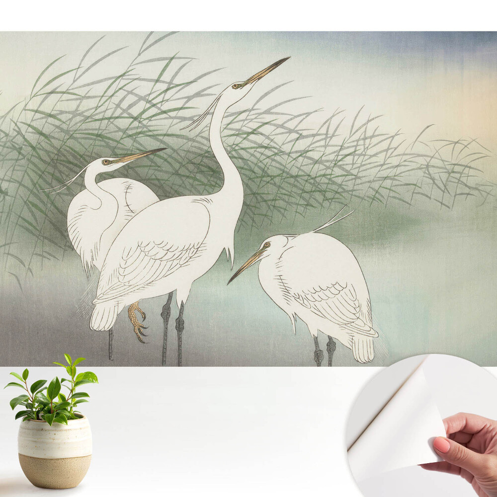 Tapet copii Stârci nobili printre iarbă