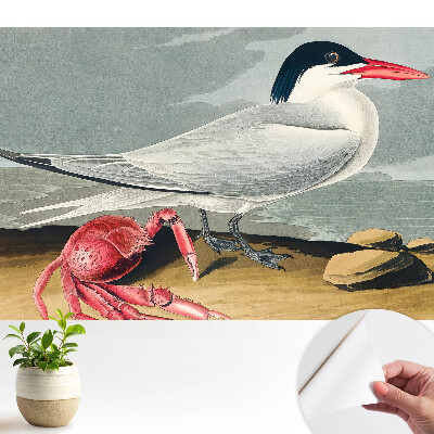 Fototapet pentru camera copiilor Duetul clasic dintre pasăre și crab