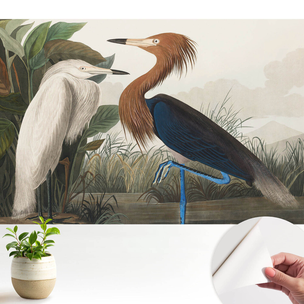 Tapet camera copii Păsări elegante printre plante