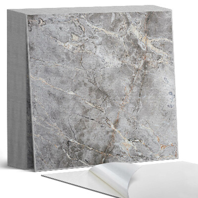 Plăcile de vinil Model de rocă naturală