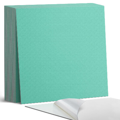 Plăci de vinil autoadezive Mentă Nuanță