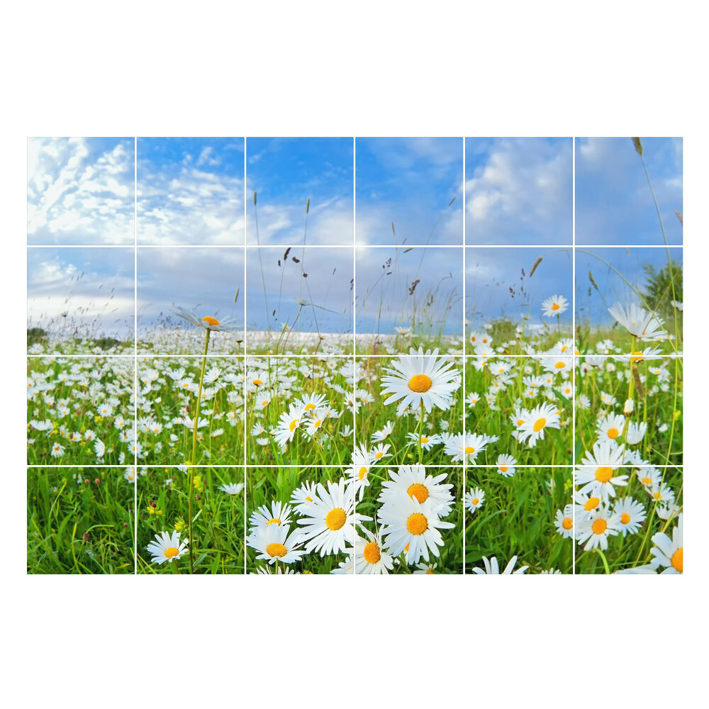 Autocolante pentru gresie Peisaj de pajiște cu flori