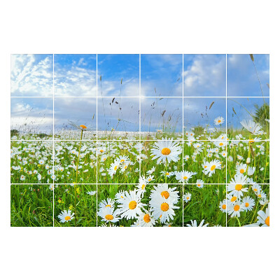 Autocolante pentru gresie Peisaj de pajiște cu flori