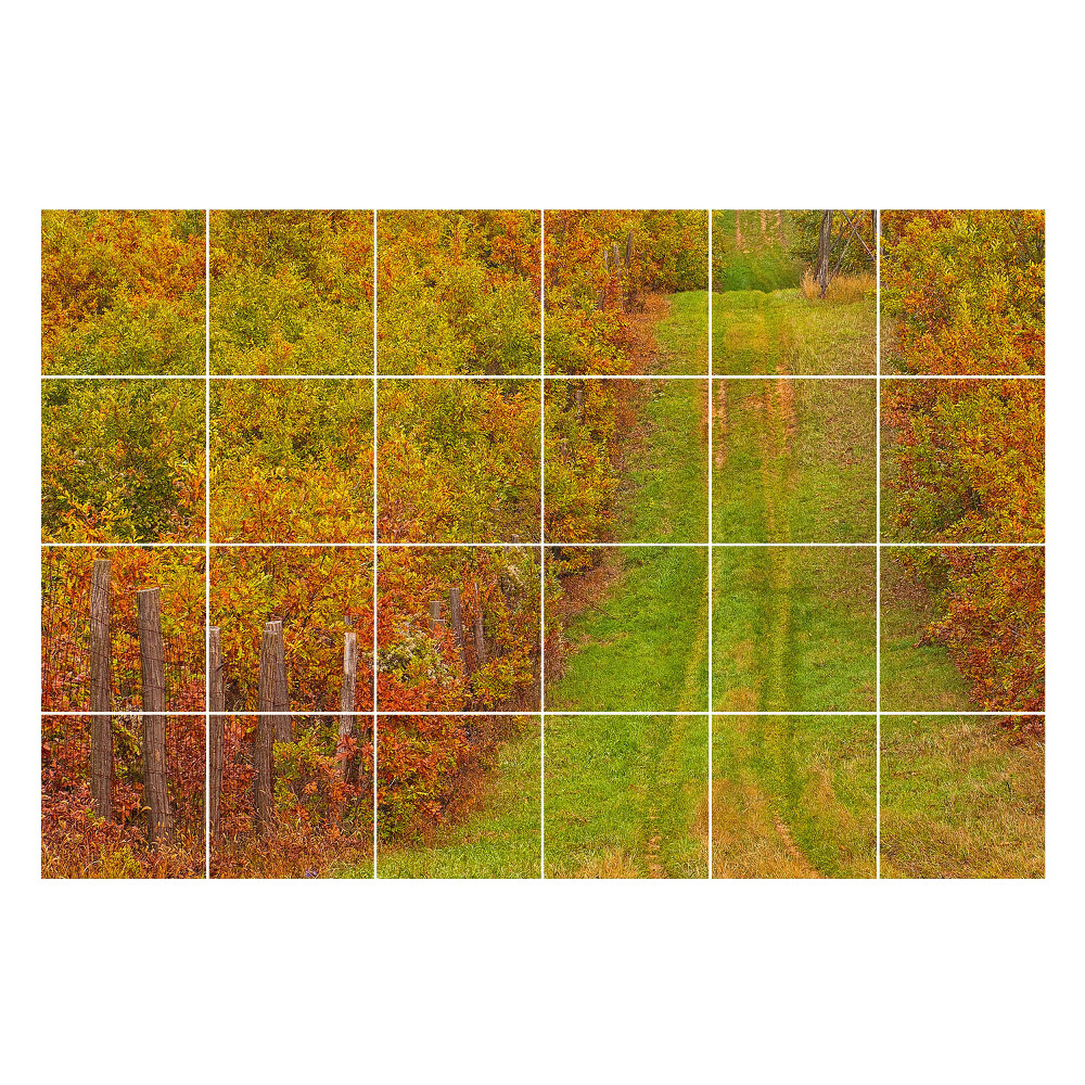 Autocolante gresie Traseu de toamnă în natură