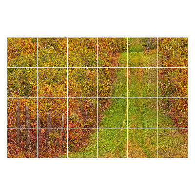 Autocolante gresie Traseu de toamnă în natură