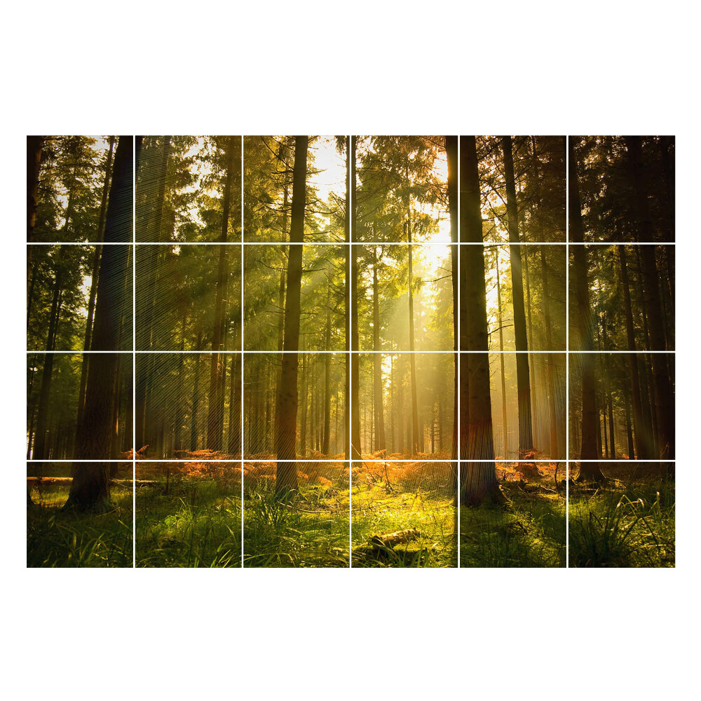 Autocolante gresie Razele soarelui în pădure