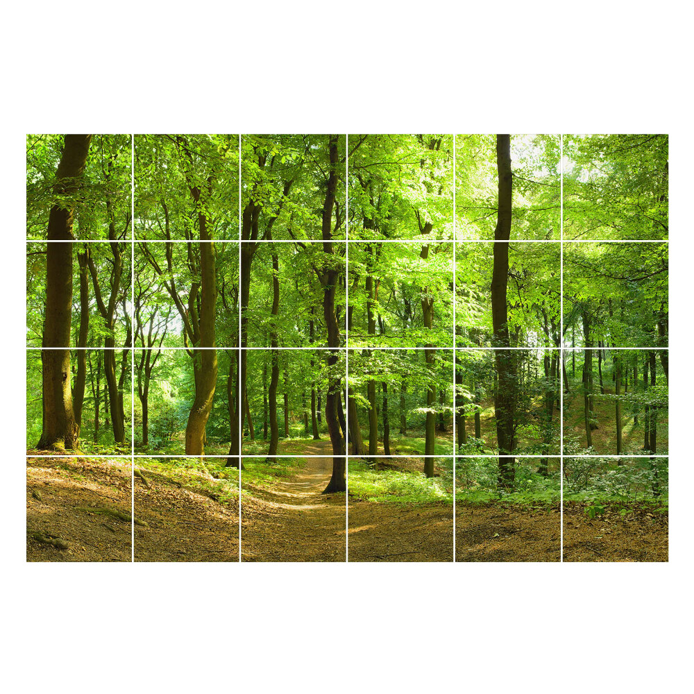 Autocolante gresie Pădure verde cu o alee