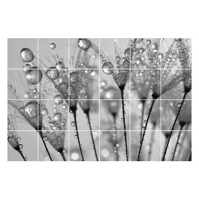 Autocolante gresie si faianta Picături pe tulpini delicate