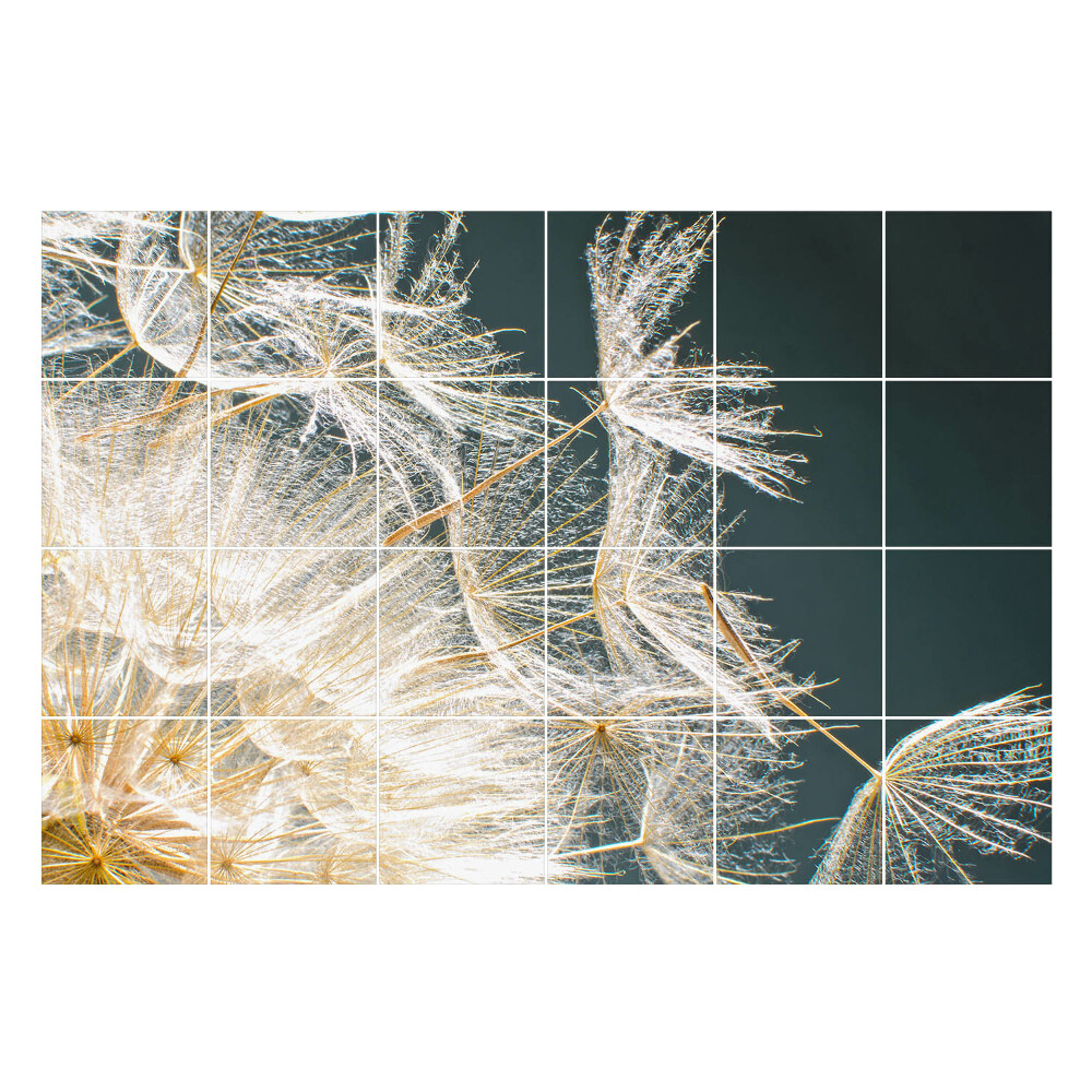 Autocolante pentru gresie Semințe delicate de păpădie