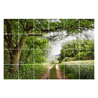 Autocolante gresie Calea verde în pădure