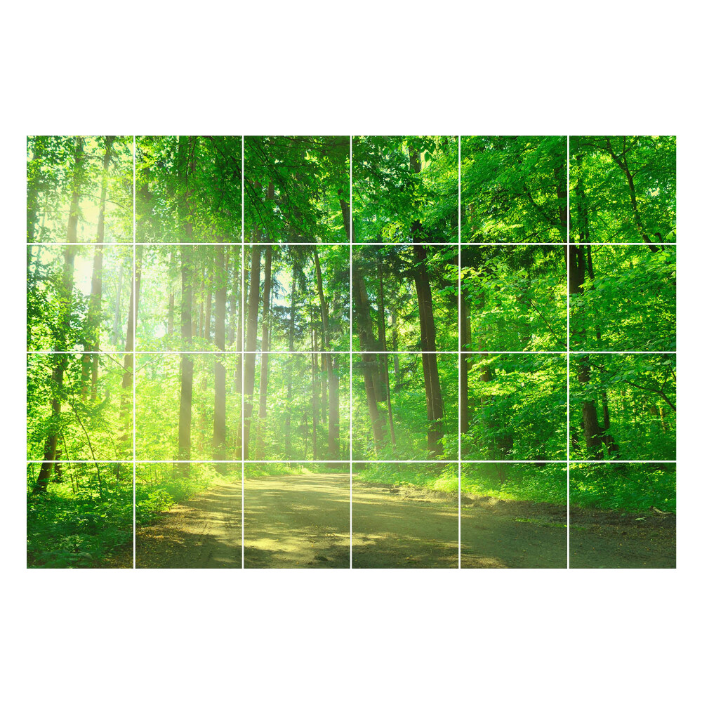 Autocolante pentru gresie Cale de pădure în raze