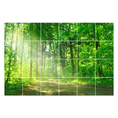 Autocolante pentru gresie Cale de pădure în raze