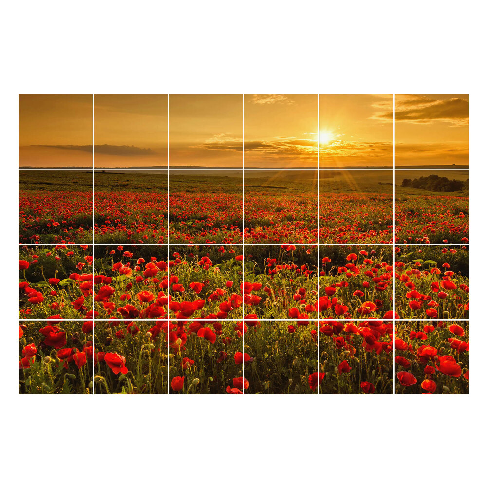 Autocolante gresie Pajiște cu flori la apus