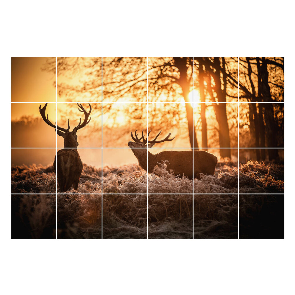 Autocolante pentru gresie Cerb în ceața dimineții