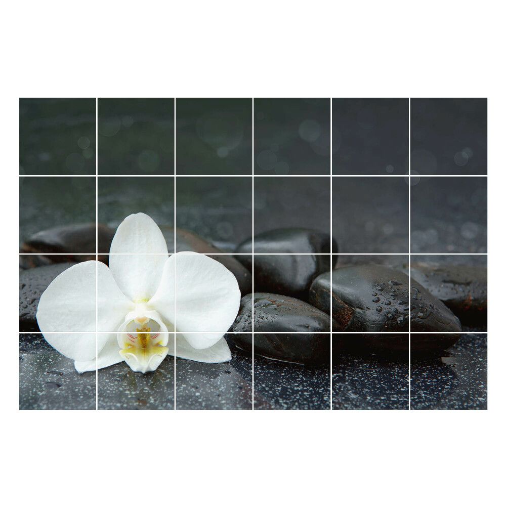 Autocolante gresie Flori pe pietre de apă