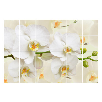 Autocolante pentru gresie Motive florale de orhidee
