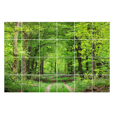 Autocolante pentru gresie Cale de pădure în natură