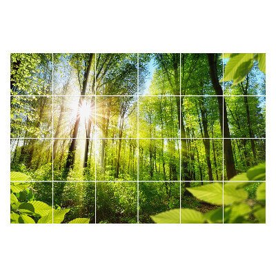 Autocolante gresie Razele soarelui în pădure