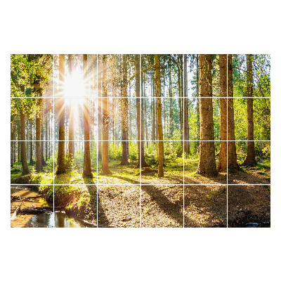 Autocolante gresie si faianta Peisaj forestier cu raze