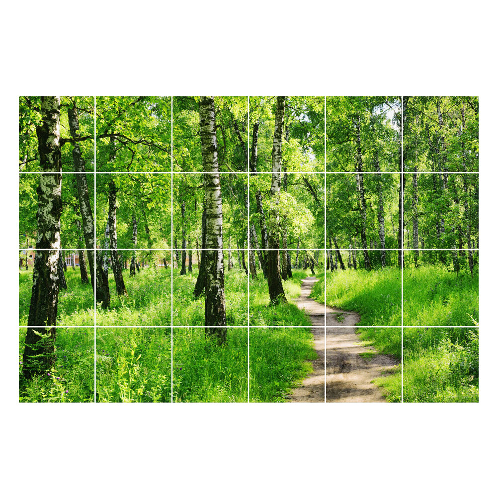 Autocolante pentru gresie Cale de pădure în natură