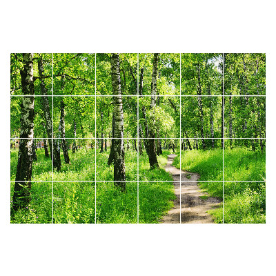 Autocolante pentru gresie Cale de pădure în natură