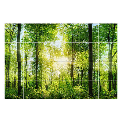 Autocolante gresie si faianta Pădure verde cu raze