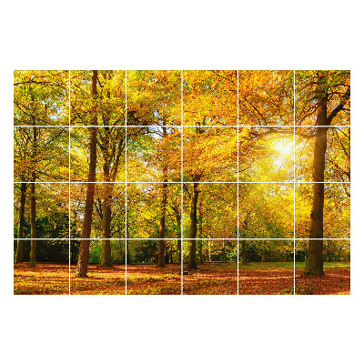 Autocolante pentru gresie Frunze aurii în pădure