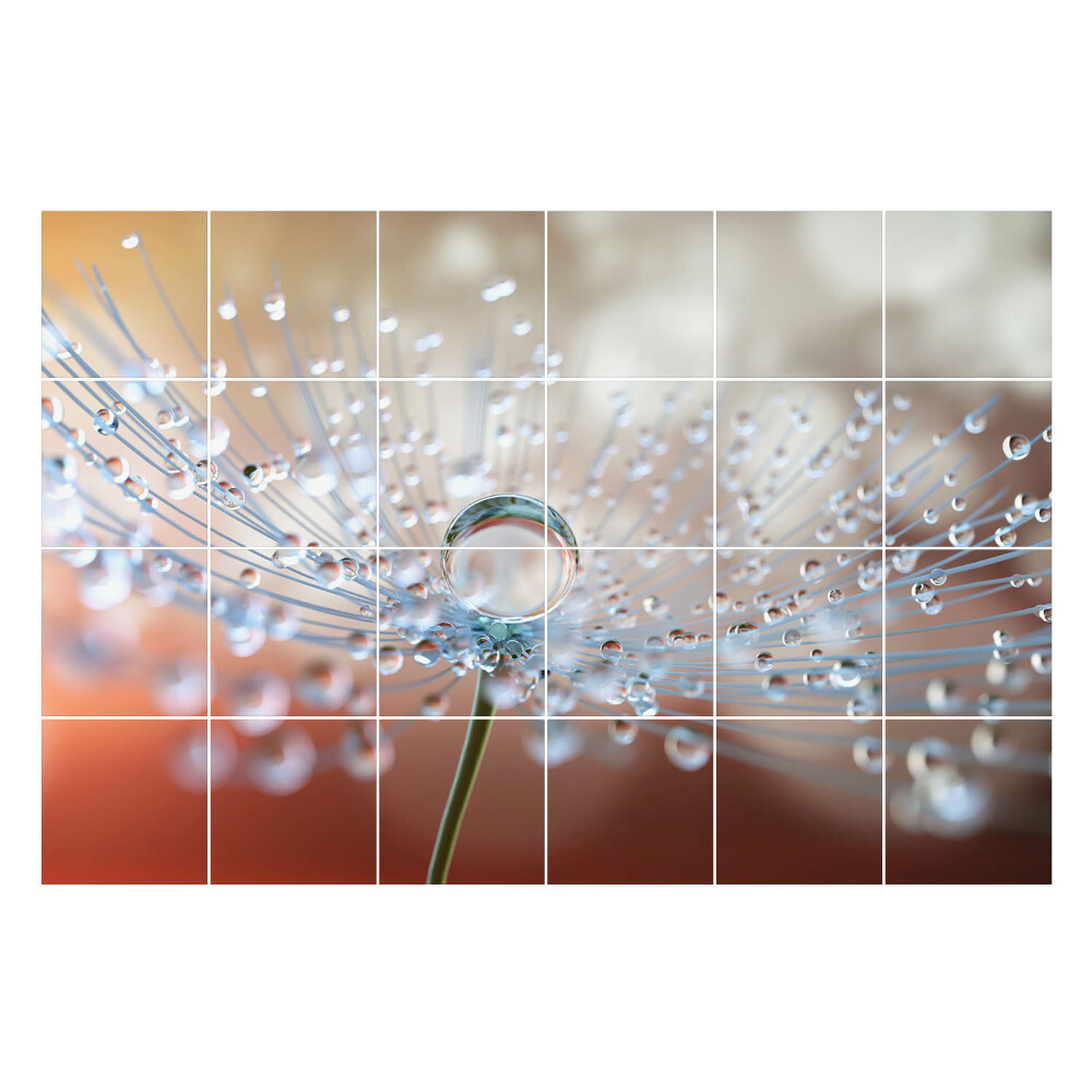 Autocolante pentru gresie Picături pe o lăstare delicată