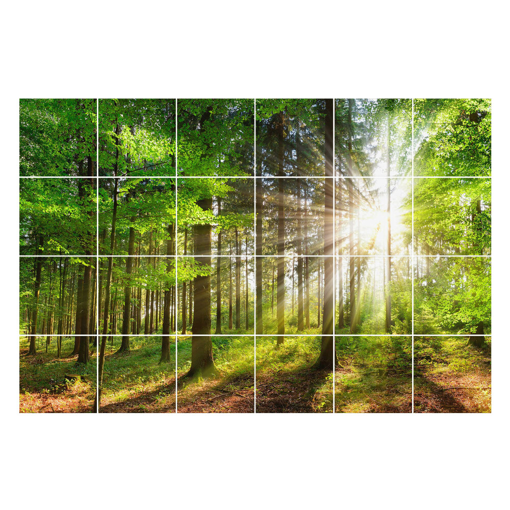 Autocolante gresie si faianta Razele soarelui în pădure