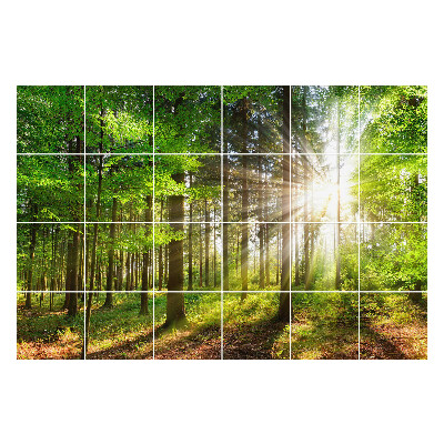 Autocolante gresie si faianta Razele soarelui în pădure
