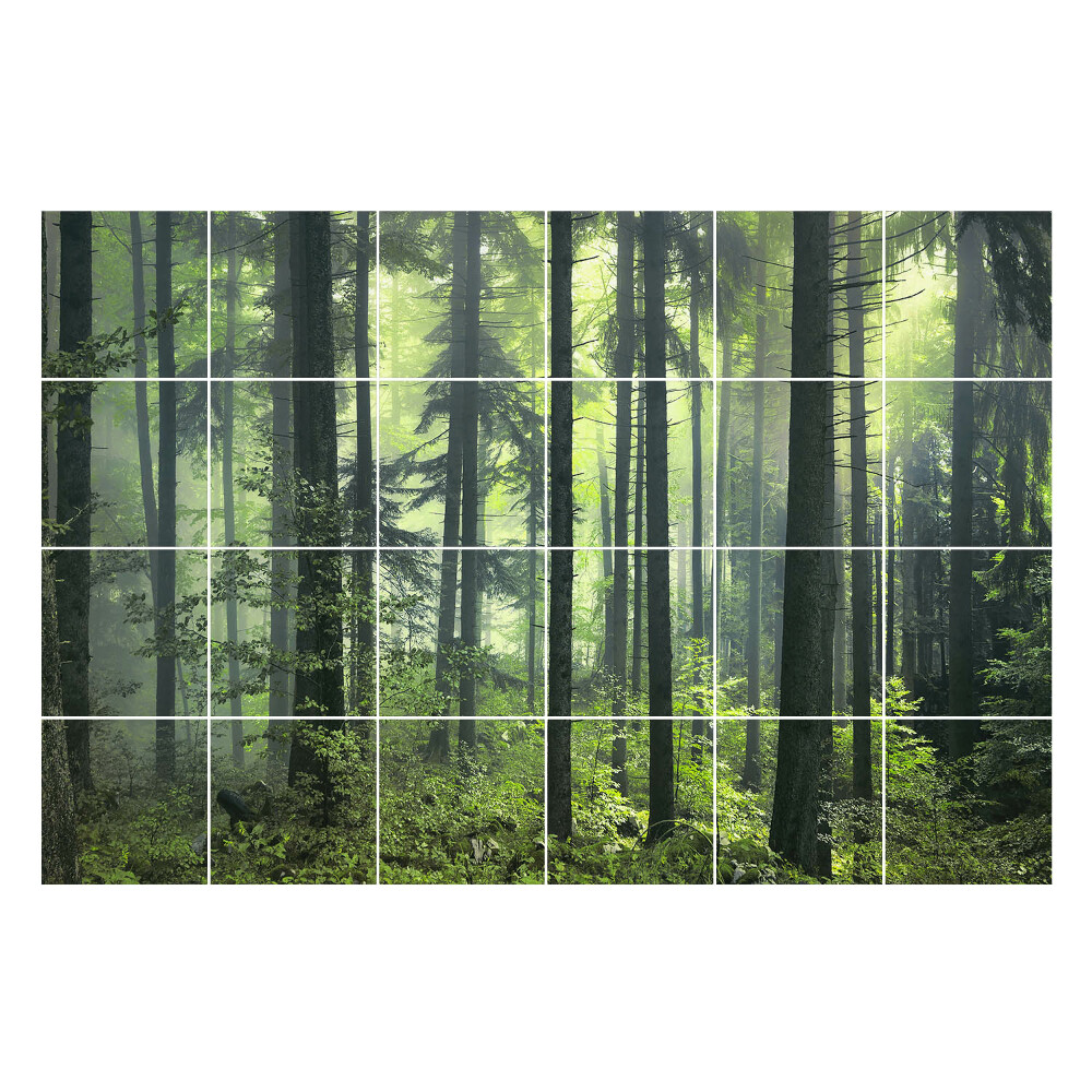 Autocolante gresie Pădure densă cu ceață