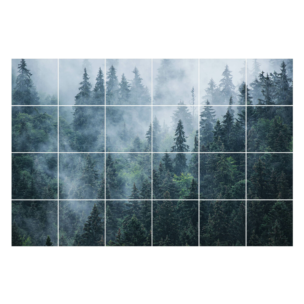 Autocolante gresie Pădure densă în ceață