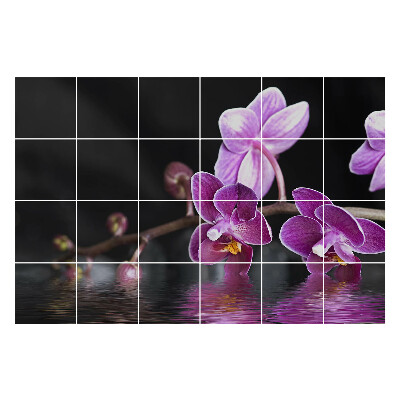 Autocolante gresie Flori pe fundalul apei