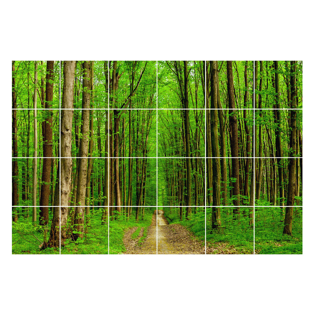 Autocolante pentru gresie Traseu de pădure verde