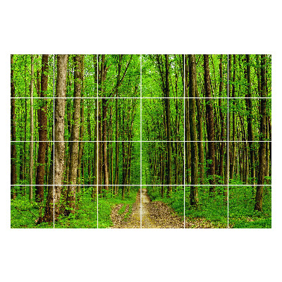 Autocolante pentru gresie Traseu de pădure verde