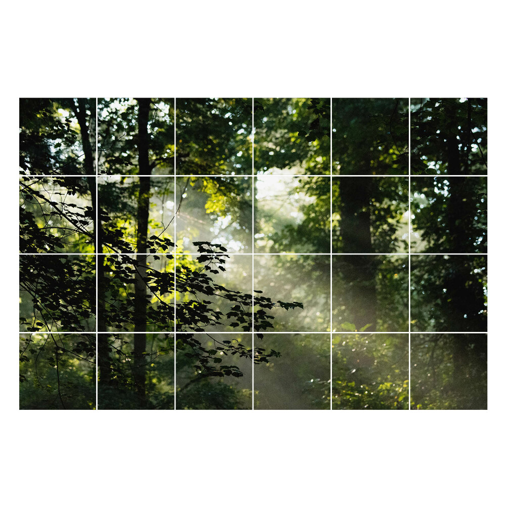 Autocolante pentru gresie Raze de lumină în pădure