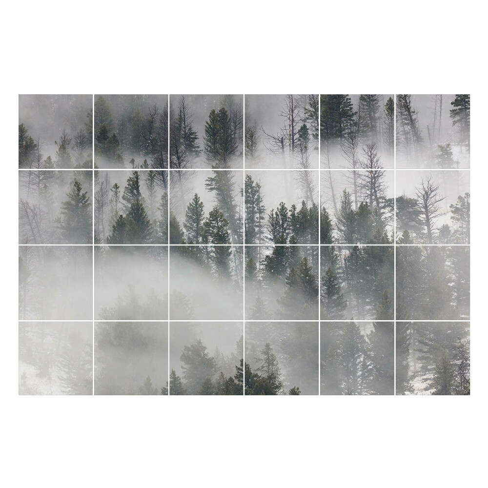 Autocolante gresie Peisaj de pădure încețoșată