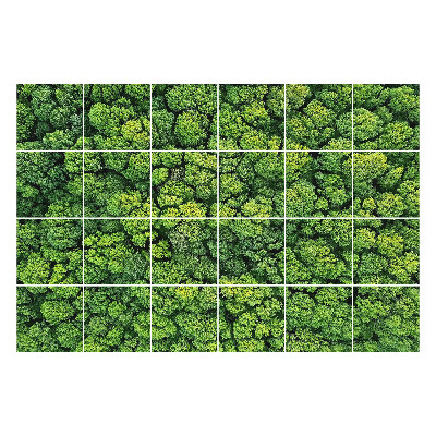 Autocolante pentru gresie O pădure densă cu copaci