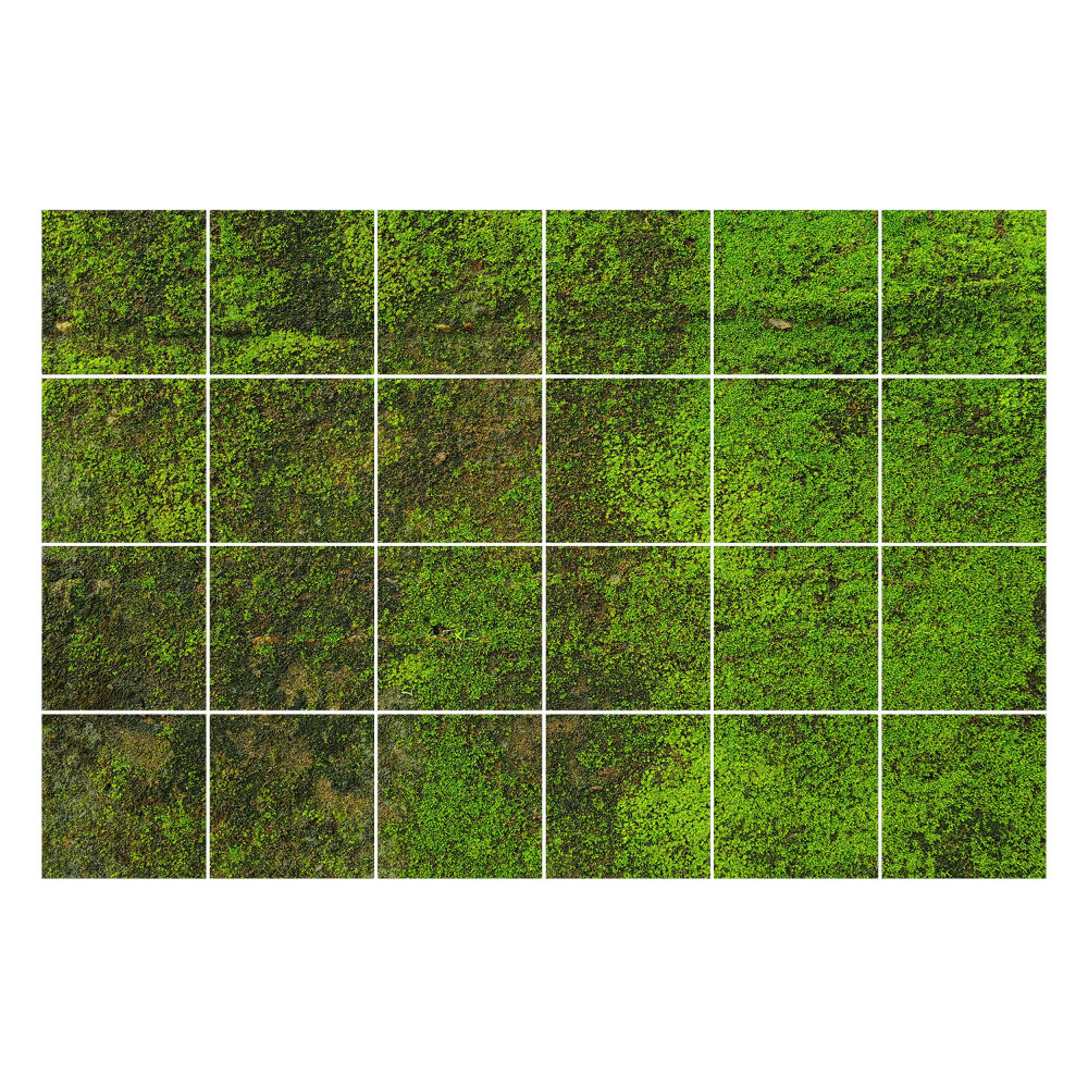 Autocolante gresie Mușchi pe piatră