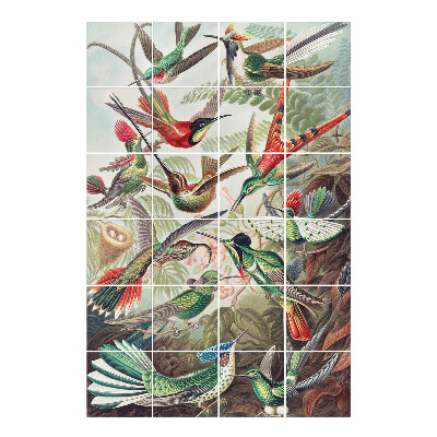 Autocolante pentru gresie Un paradis al păsărilor în tropice