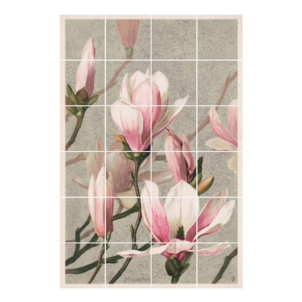 Autocolante pentru gresie Flori de magnolie înflorite