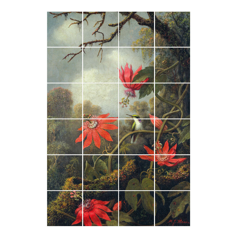 Autocolante gresie Flori și o colibri în pădure